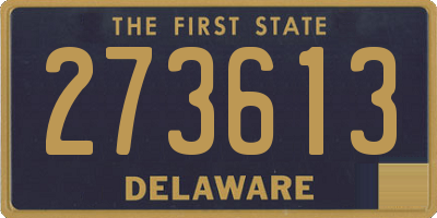 DE license plate 273613
