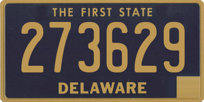 DE license plate 273629