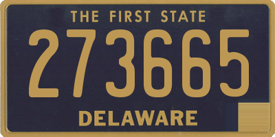 DE license plate 273665