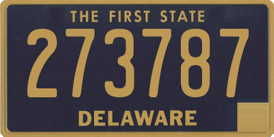 DE license plate 273787