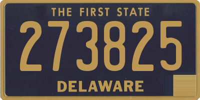 DE license plate 273825