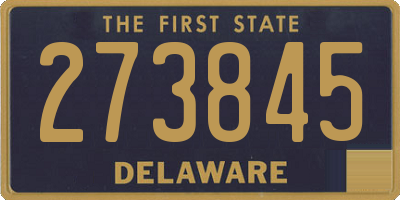 DE license plate 273845