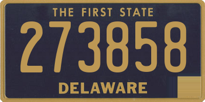 DE license plate 273858