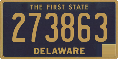 DE license plate 273863