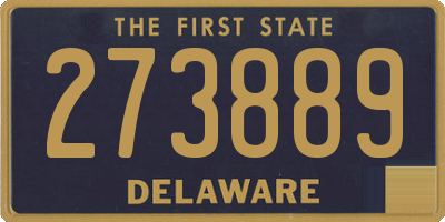 DE license plate 273889