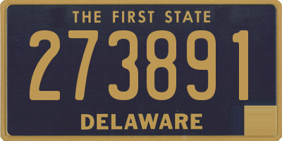 DE license plate 273891