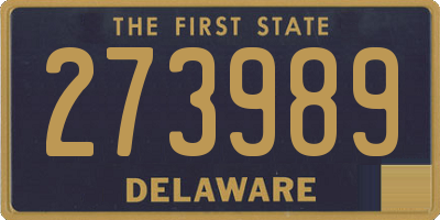 DE license plate 273989