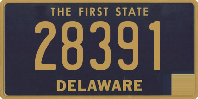 DE license plate 28391