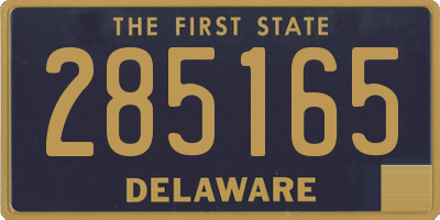 DE license plate 285165