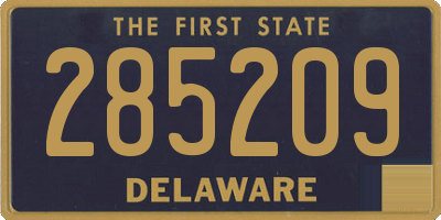 DE license plate 285209