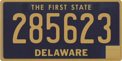 DE license plate 285623