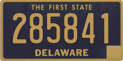 DE license plate 285841