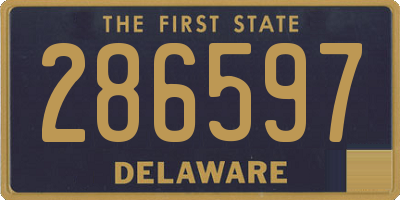 DE license plate 286597
