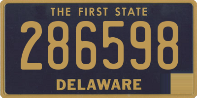 DE license plate 286598