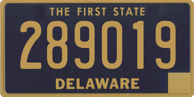 DE license plate 289019