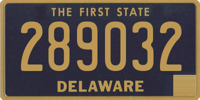 DE license plate 289032