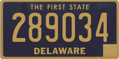 DE license plate 289034