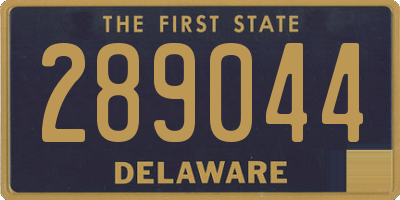 DE license plate 289044