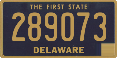 DE license plate 289073