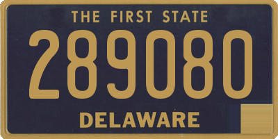 DE license plate 289080