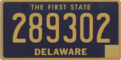 DE license plate 289302