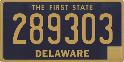 DE license plate 289303