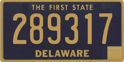 DE license plate 289317