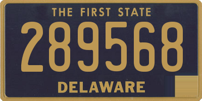 DE license plate 289568