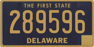 DE license plate 289596