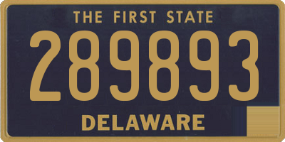 DE license plate 289893