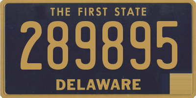 DE license plate 289895