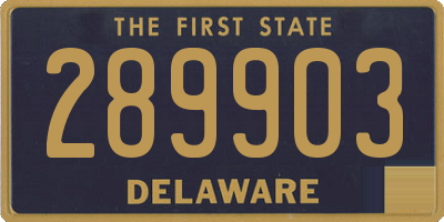 DE license plate 289903