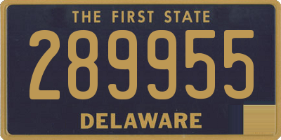 DE license plate 289955