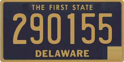 DE license plate 290155