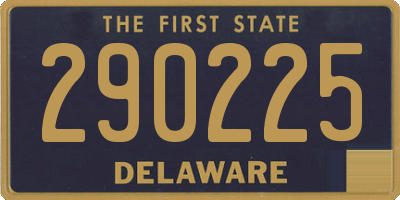 DE license plate 290225