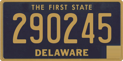 DE license plate 290245