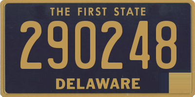 DE license plate 290248