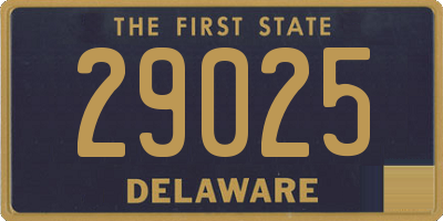 DE license plate 29025