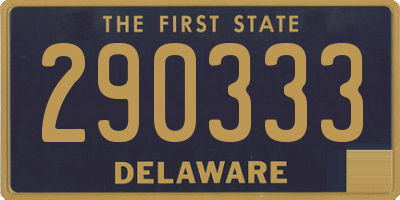 DE license plate 290333