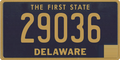 DE license plate 29036