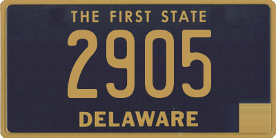DE license plate 2905