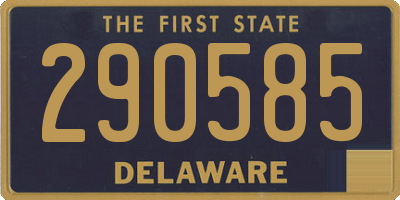 DE license plate 290585
