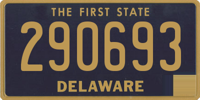 DE license plate 290693