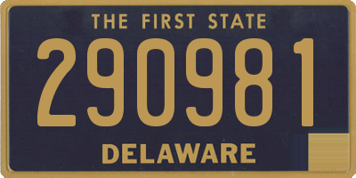 DE license plate 290981