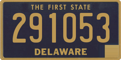 DE license plate 291053