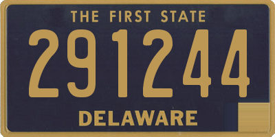 DE license plate 291244