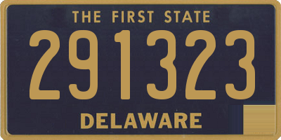 DE license plate 291323