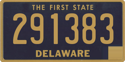 DE license plate 291383