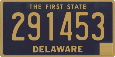 DE license plate 291453