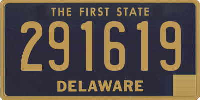 DE license plate 291619